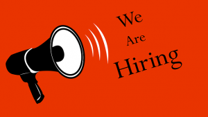 executive job search